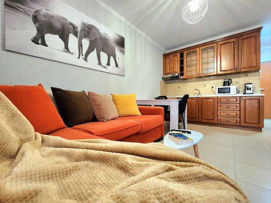 地拉那One Bd Flat Near Center With 24H Self Check In公寓 外观 照片