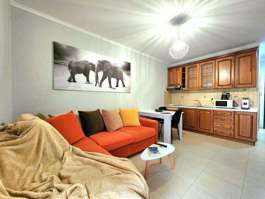 地拉那One Bd Flat Near Center With 24H Self Check In公寓 外观 照片